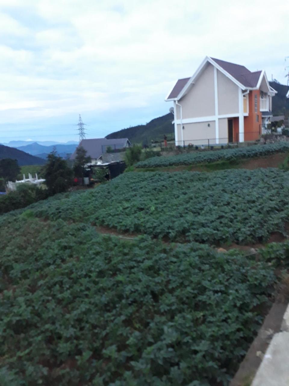 Rainyfreindz Hotel Nuwara Eliya Exterior photo