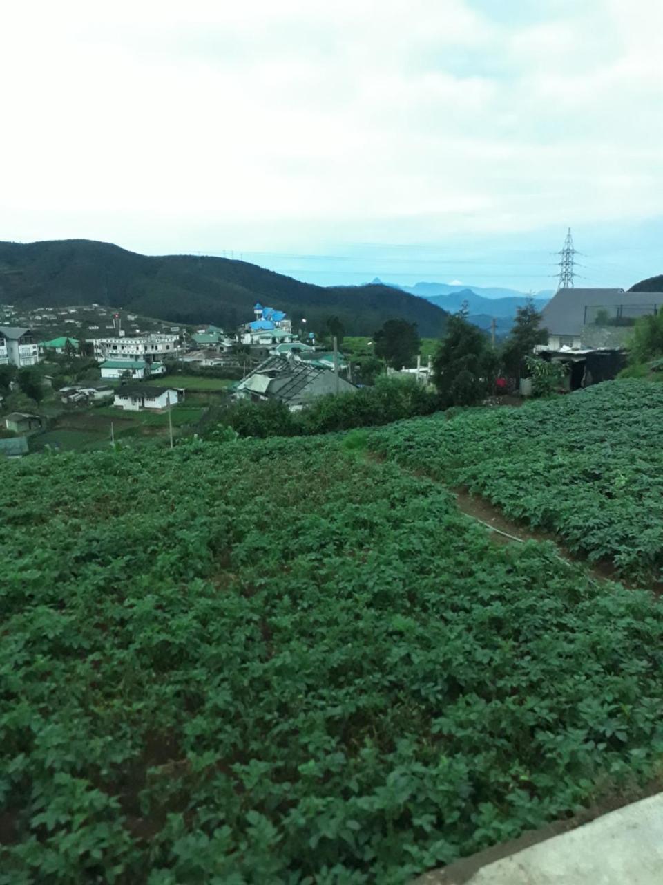 Rainyfreindz Hotel Nuwara Eliya Exterior photo